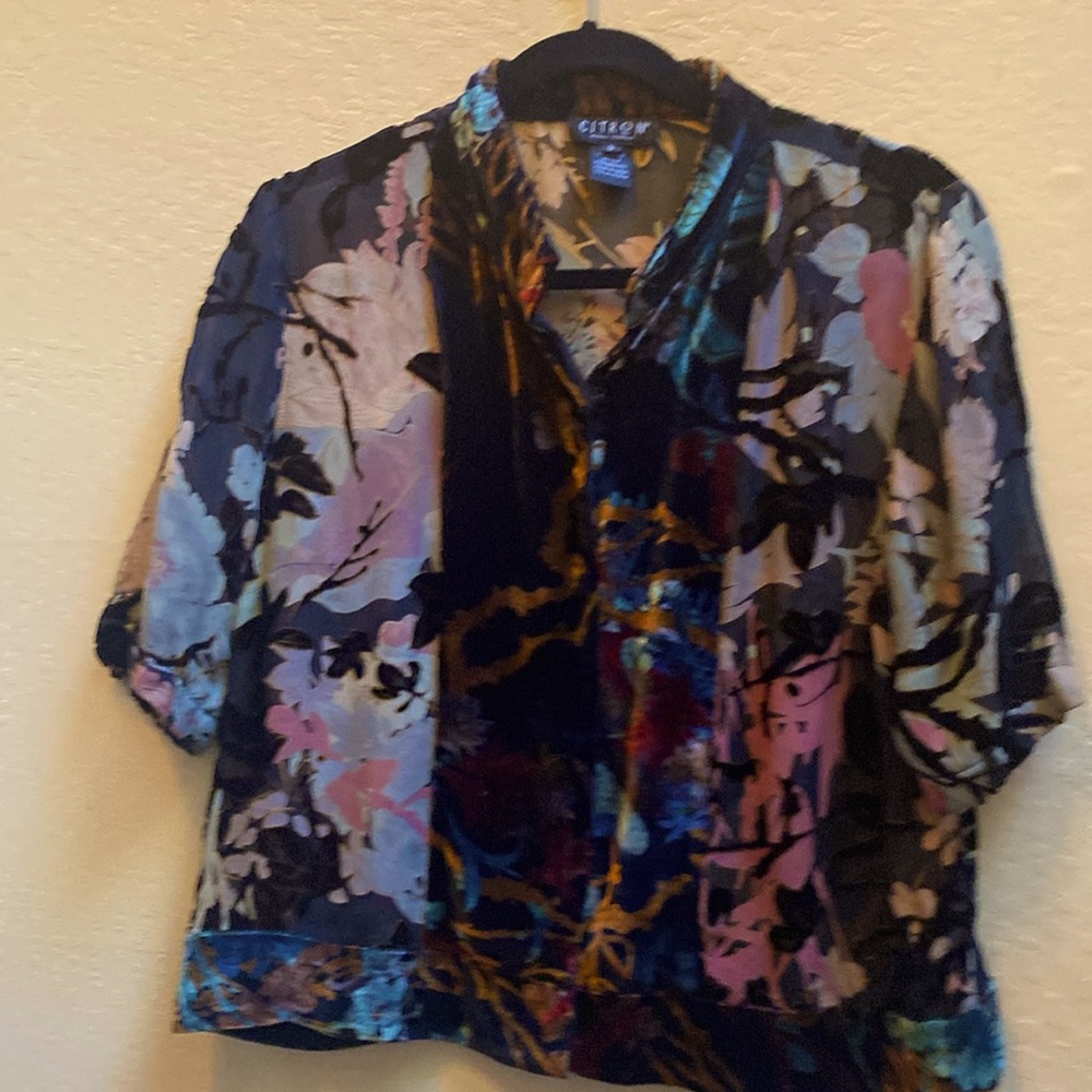 Silk cut velvet top. Sheer, short sleeved. Citreon brand